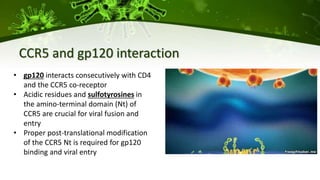 CCR5 and gp120 interaction
• gp120 interacts consecutively with CD4
and the CCR5 co-receptor
• Acidic residues and sulfotyrosines in
the amino-terminal domain (Nt) of
CCR5 are crucial for viral fusion and
entry
• Proper post-translational modification
of the CCR5 Nt is required for gp120
binding and viral entry
 