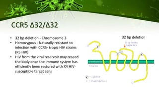 CCR5 ∆32/∆32
32 bp deletion• 32 bp deletion - Chromosome 3
• Homozygous - Naturally resistant to
infection with CCR5- tropic HIV strains
(R5 HIV)
• HIV from the viral reservoir may reseed
the body once the immune system has
efficiently been restored with X4 HIV-
susceptible target cells
 