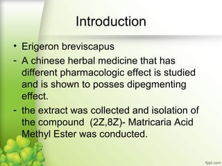 Introduction
• Erigeron breviscapus
- A chinese herbal medicine that has
different pharmacologic effect is studied
and is shown to posses dipegmenting
effect.
- the extract was collected and isolation of
the compound (2Z,8Z)- Matricaria Acid
Methyl Ester was conducted.

 