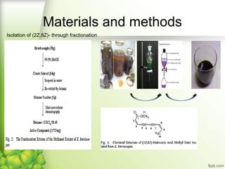 Materials and methods
Isolation of (2Z,8Z)- through fractionation

 