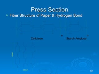 Press Section Fiber Structure of Paper & Hydrogen Bond 