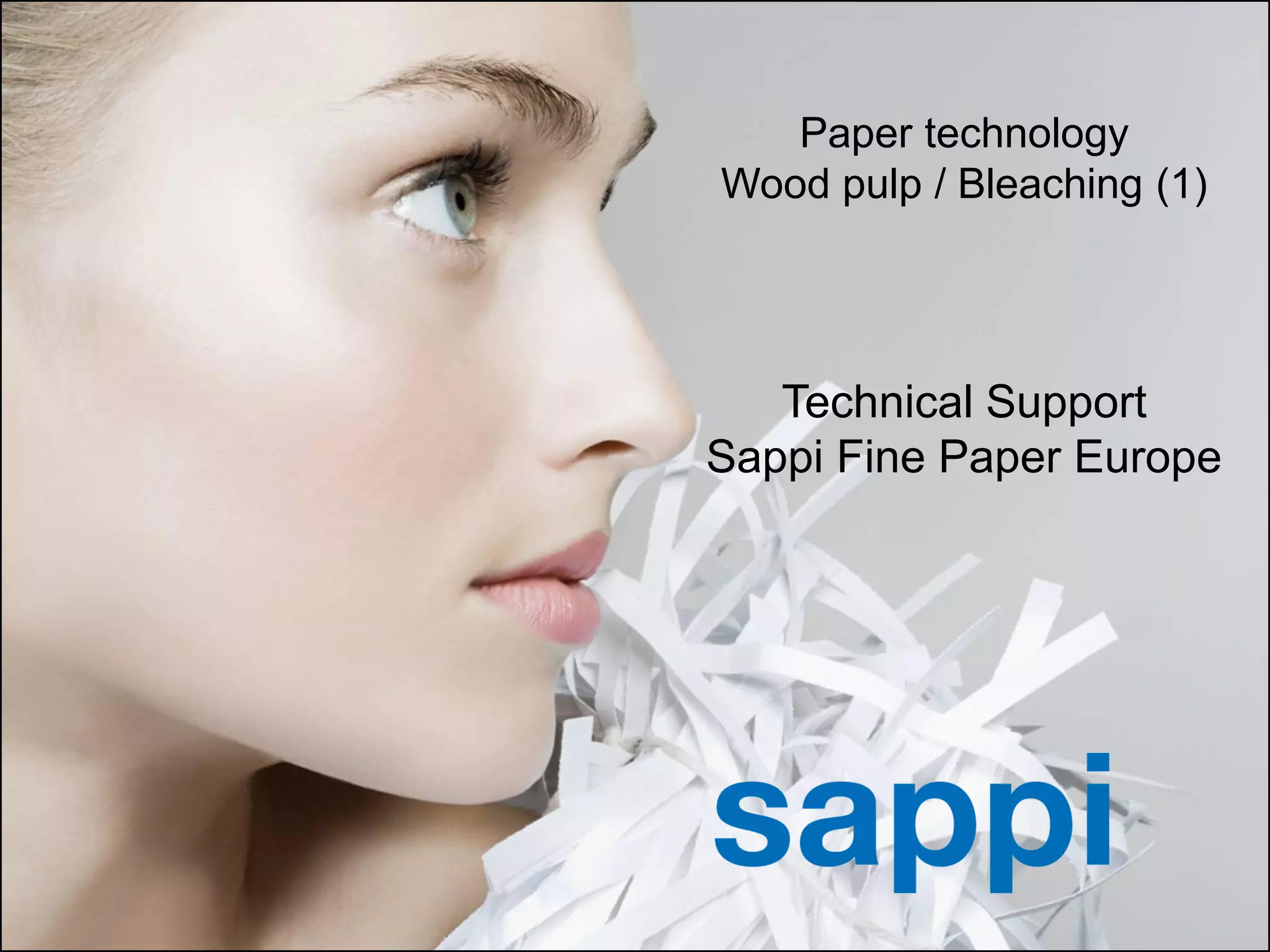 Paper technology wood pulp bleaching 1 PPT