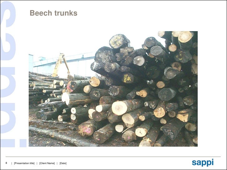 Paper technology wood pulp bleaching 1