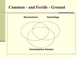 Common - and Fertile - Ground Neuroscience   Psychology Contemplative Practice 
