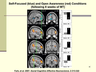Farb, et al. 2007.  Social Cognitive Affective Neuroscience , 2:313-322 Self-Focused (blue) and Open Awareness (red) Conditions  (following 8 weeks of MT) 