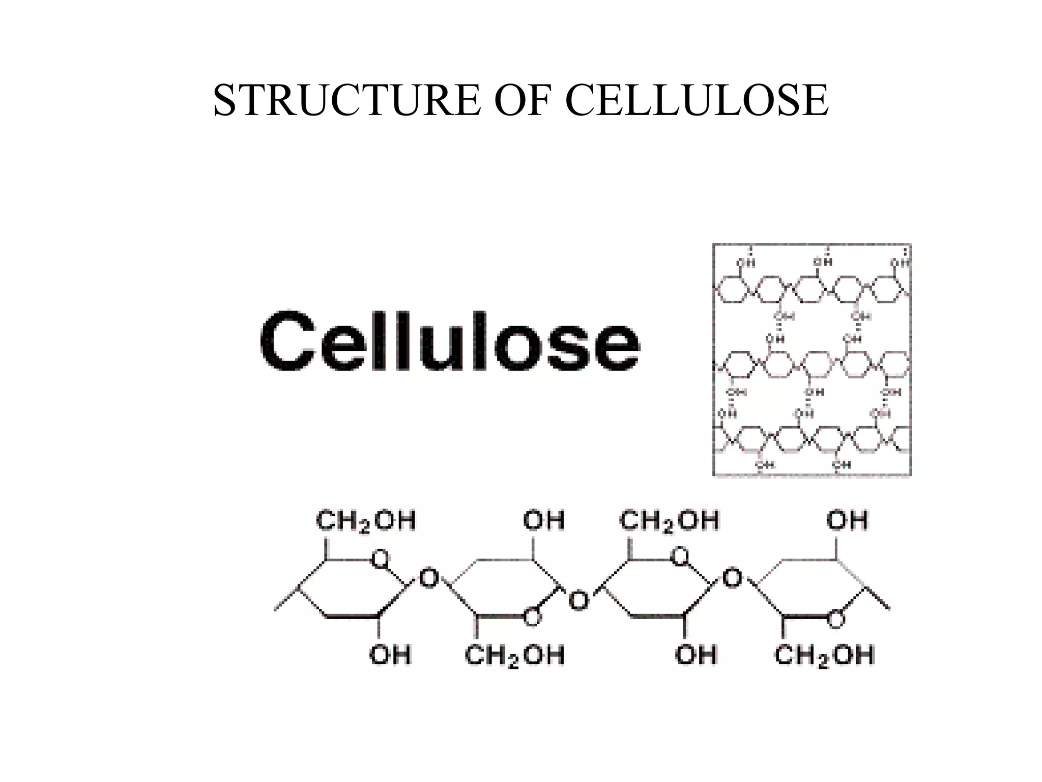 STRUCTURE OF CELLULOSE

 