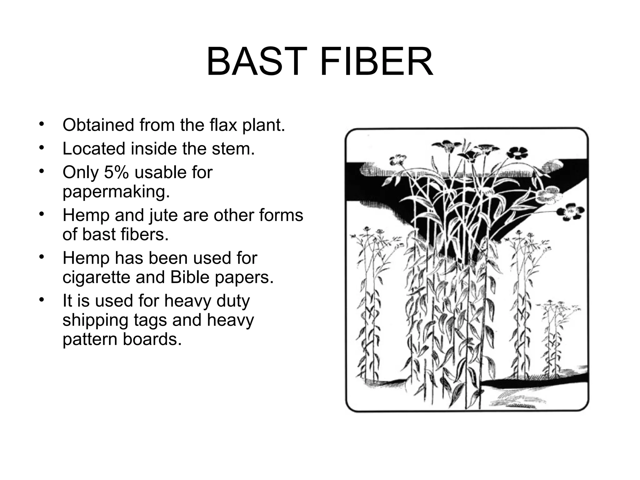 BAST FIBER
•
•
•
•
•
•

Obtained from the flax plant.
Located inside the stem.
Only 5% usable for
papermaking.
Hemp and jute are other forms
of bast fibers.
Hemp has been used for
cigarette and Bible papers.
It is used for heavy duty
shipping tags and heavy
pattern boards.

 