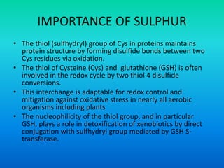 IMPORTANCE OF SULPHUR
• The thiol (sulfhydryl) group of Cys in proteins maintains
protein structure by forming disulfide bonds between two
Cys residues via oxidation.
• The thiol of Cysteine (Cys) and glutathione (GSH) is often
involved in the redox cycle by two thiol 4 disulfide
conversions.
• This interchange is adaptable for redox control and
mitigation against oxidative stress in nearly all aerobic
organisms including plants
• The nucleophilicity of the thiol group, and in particular
GSH, plays a role in detoxification of xenobiotics by direct
conjugation with sulfhydryl group mediated by GSH S-
transferase.
 