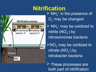 Nitrification O2 Presentation on nutrient management rice | PPT