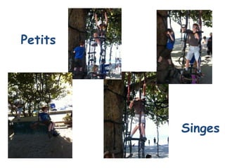 Petits




         Singes
 