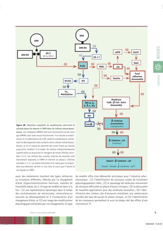 AMH
                                   AMH
                                                                                                            (1)




                                                                                                                                                                                              REVUES
                                                                                         AMH RII
                                                                                                                                                          (2)
                                                    Alk 3                                                                                    aPIX                 Cdc42
                   AMH RII                       et/ou Alk 2                             (1)
                                                                                                             CR-1 ?

                                                                          (2)                              (2)                   (2)                               Pak3
                                                                                          P13K                         PDK1                   ILK
                                                                                                                                                           (2)

                                                                                        (1)                                                                         Focal
                                                                                                                           (2)




                                                                                                                                                                                               SYNTHÈSE
                                                                                                                                                                  adhesions
                                                                                                                                        Paxillin                 disassembly
                                                                          IP3 R3              IP3

                                                                         (1)                                     (2)

                                                                          Ca2+                (1)
                                                                       Mobilisation                                                                                       (2)
                                                                                                                                  Membrane
                                                                                                 PKC a, z,                    Cadh : b-Cat : Actin
                                                                                                e, d, i, etc.                    disassembly

                                                                                                            (1)
                                                                                                                                                    (2)
                                                                                                     Akt
                                                                                                                                    b-Caténine
                                                                                                    Gsk3b                          accumulation
              Figure 4B. Résultats simplifiés de modélisation décrivant la                                                         (cytoplasme)
              seconde phase de réponse à l’AMH dans les cellules mésenchyma-                                       (1)
              teuses. Les complexes AMHRII-ALK sont maintenant activés alors                                                           (1)          (2)
              que AMHRII seul reste encore fonctionnel. Il en résulte la mobili-
              sation et la stabilisation de la β-caténine membranaire, entraî-
                                                                                                                                  b-Caténine : Lef
              nant la décomposition des contacts entre cellules mésenchyma-                                                         (nucleus)
              teuses, et la ré-induction partielle des voies Smad qui étaient
              jusqu’alors inhibées. À ce stade, les cellules mésenchymateuses
              superficielles se dissocient et changent de forme (flèches anno-                                                         (1)          (2)
              tées « 2 »). Les cellules des couches internes du manchon sont
              maintenant exposées à l’AMH et entrent en phase 1 (flèches                                                     Smad 4 : b-Caténine : Lef
              annotées « 1 »). Les boîtes entourées d’un cadre gras correspon-                                                           +
              dent aux éléments vérifiés in vivo chez la souris par F. Xavier et                                         Smad1 : Smad4 : β-Caténine : Lef ?
              son équipe au CNRS.

              aussi des événements touchant des types cellulaires                     de modèle offre cinq débouchés principaux pour l’industrie phar-
              ou tissulaires différents, affectés par ce changement                   maceutique : (1) l’identification de nouveaux modes de traitement
              d’état (hypercholestérolémie familiale, maladie de                      physiologiquement ciblés ; (2) le sauvetage de molécules rencontrant
              Creutzfeld-Jakob, etc.). Ce type de modèle est donc à la                de sérieuses difficultés en phase d’essais cliniques ; (3) la découverte
              fois : (1) une représentation dynamique dans le temps                   de nouvelles applications pour des molécules existantes ; (4) l’iden-
              des enchaînements de mécanismes intracellulaires                        tification des critères clés d’exclusion entraînant une amélioration
              associés au développement et à l’instauration d’un                      sensible des taux de succès en phase clinique ; et (5) l’identification
              changement d’état, et (2) une image des modifications                   de bio-marqueurs permettant le suivi en temps réel des effets d’une
              physiologiques entraînées par ces changements. Ce type                  intervention. ‡

                              M/S n° 6-7, vol. 25, juin-juillet 2009                                                                                                                      7



Iris.indd 7                                                                                                                                                                     26/05/2009 12:32:46
 