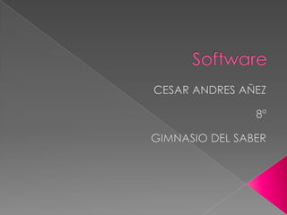 Software  CESAR ANDRES AÑEZ  8ª  GIMNASIO DEL SABER  