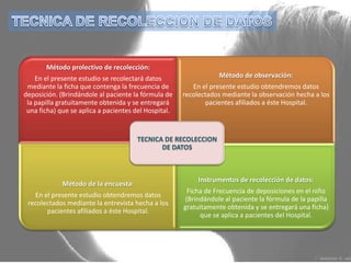 TECNICA DE RECOLECCION DE DATOS <br />