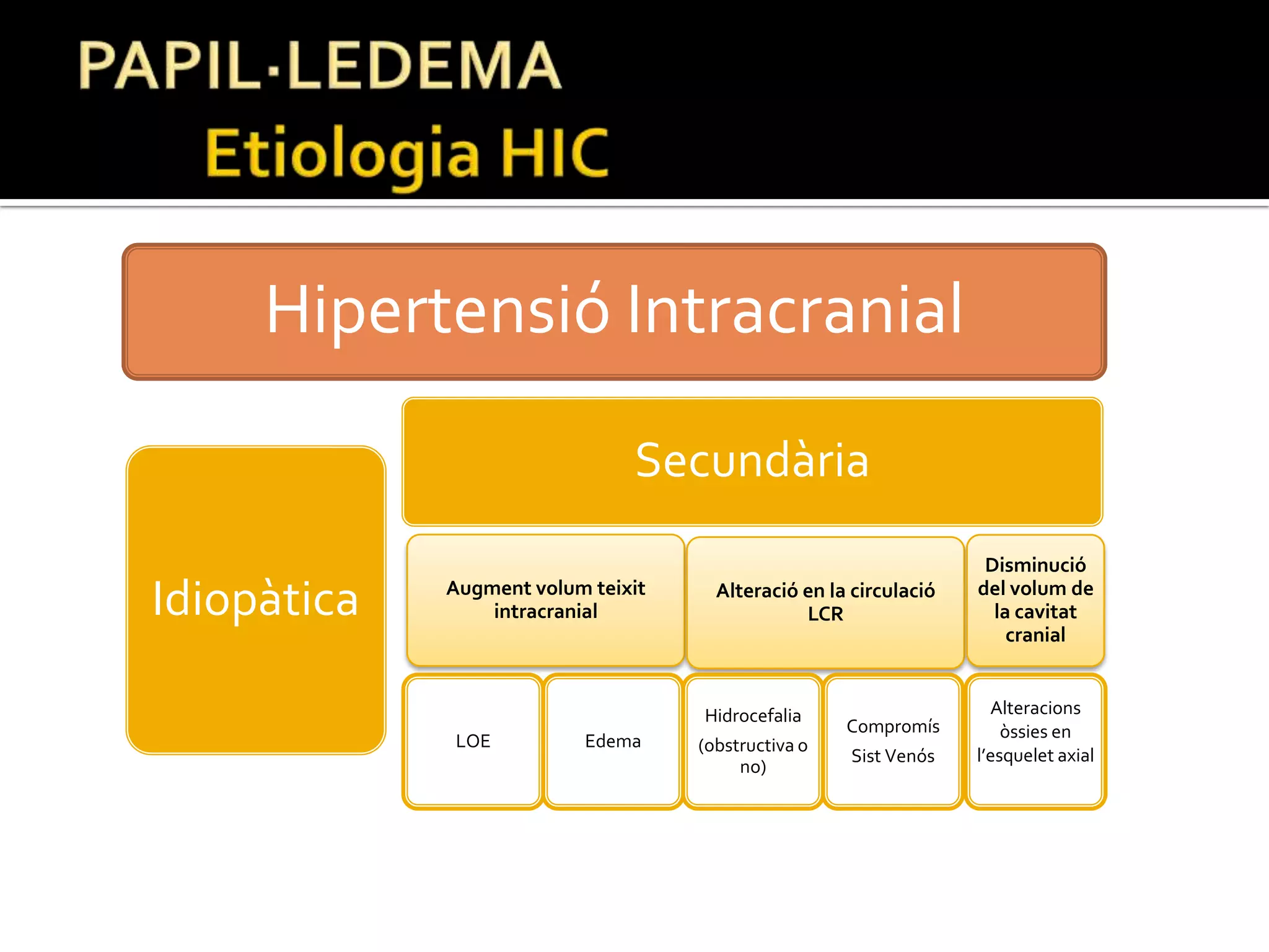 Fluid subretinià i despreniment serós de retina peripapil·lar. 