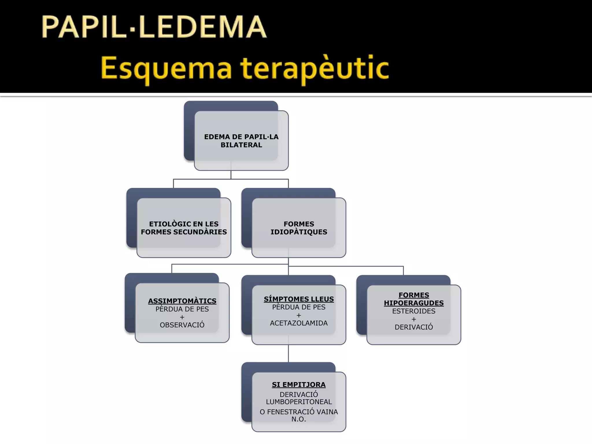 PAPIL·LEDEMADiagnòstic diferencial: Druses N.O.Pseudopapil·ledema: Elevació congènita del disc òptic.