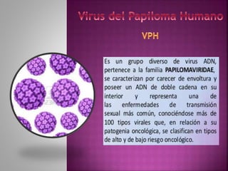 Papilloma virus