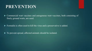 PREVENTION
 Commercial wart vaccines and autogenous wart vaccines, both consisting of
finely ground warts, are used.
 Formalin is often used to kill the virus and a preservative is added.
 To prevent spread, affected animals should be isolated.
 