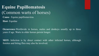 Equine Papillomatosis
(Common warts of horses)
Cause– Equine papillomavirus.
Host- Equidae
Occurrence-Worldwide in horses, mules and donkeys usually up to three
years if age. Warts in older horses persist longer.
MOT- Infection is by direct contact with other infected horses, although
fomites and biting flies may also be involved.
 