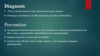 Diagnosis
 This is usually based on the characteristic gross lesions.
 Histologic examination of affected tissue provides confirmation.
Prevention
 Autogenous formalin-inactivated wart vaccines are sometimes administered but
their value is questionable; repeated doses are recommended.
 Surgical removal of warts may be helpful.
 Equine warts, like the warts of other species, will frequently disappear
spontaneously.
 