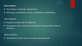DIAGNOSIS
 The disease is clinically characteristic.
 Histologic examination of warts or biopsies is confirmatory.
TREATMENT
 Surgical excision may be employed.
 Autogenous wart vaccines are considered of questionable value in
treatment.
PREVENTION
 Vaccination for prevention is not generally practiced.
 