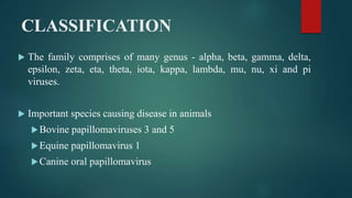 CLASSIFICATION
 The family comprises of many genus - alpha, beta, gamma, delta,
epsilon, zeta, eta, theta, iota, kappa, lambda, mu, nu, xi and pi
viruses.
 Important species causing disease in animals
Bovine papillomaviruses 3 and 5
Equine papillomavirus 1
Canine oral papillomavirus
 