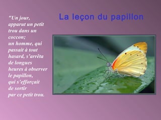 "Un jour,            La leçon du papillon
apparut un petit
trou dans un
coccon;
un homme, qui
passait à tout
hasard, s’arrêta
de longues
heures à observer
le papillon,
qui s’efforçait
de sortir
par ce petit trou.
 