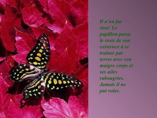 Il n’en fut
rien! Le
papillon passa
le reste de son
existence à se
traîner par
terrre avec son
maigre corps et
ses ailes
rabougries.
Jamais il ne
put voler.
 