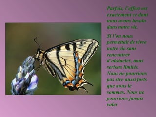 Parfois, l’effort est
exactement ce dont
nous avons besoin
dans notre vie.
Si l’on nous
permettait de vivre
notre vie sans
rencontrer
d’obstacles, nous
serions limités.
Nous ne pourrions
pas être aussi forts
que nous le
sommes. Nous ne
pourrions jamais
voler
 
