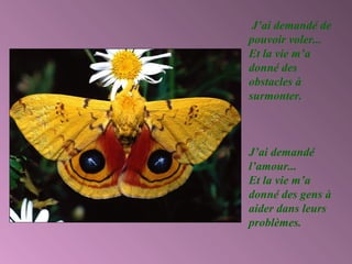 J’ai demandé de
pouvoir voler...
Et la vie m’a
donné des
obstacles à
surmonter.



J’ai demandé
l’amour...
Et la vie m’a
donné des gens à
aider dans leurs
problèmes.
 