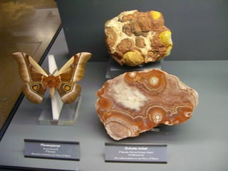 Πεταλούδες και Ορυκτά!!!