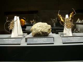 Πεταλούδες και Ορυκτά!!!