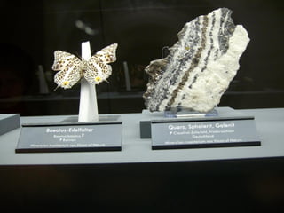 Πεταλούδες και Ορυκτά!!!