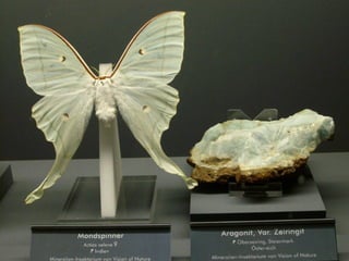 Πεταλούδες και Ορυκτά!!!