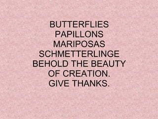 BUTTERFLIES PAPILLONS MARIPOSAS SCHMETTERLINGE BEHOLD THE BEAUTY OF CREATION. GIVE THANKS. 