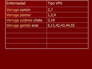 6,11,42,43,44,55 Verruga genital  anal  3,10 Verruga cutánea  chata  1,2,4 Verruga plantar   2,7 Verruga  común  Tipo VPH  Enfermedad  