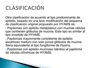 Otra clasificación de acuerdo al tipo predominante de
epitelio, basado en una leve modificación del esquema
de clasificación original propuesto por HYAMS es:
1.Papilomas con epitelio metaplásico con muchas células
que contienen glóbulos de mucina. Este tipo es similar al
tipo invertido de HYAMS.
2.Papilomas mayormente consistente de epitelio
escamoso maduro con solo pocos glóbulos de mucina.
Seria equivalente al tipo fungiforme de Hyams.
3.Papilomas con epitelio mucinoso idéntico al papiloma
de células cilíndricas de HYAMS.
 