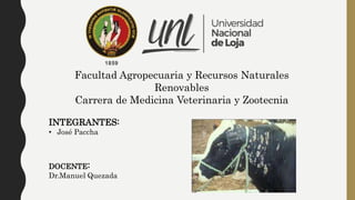 Facultad Agropecuaria y Recursos Naturales
Renovables
Carrera de Medicina Veterinaria y Zootecnia
INTEGRANTES:
• José Paccha
DOCENTE:
Dr.Manuel Quezada
 