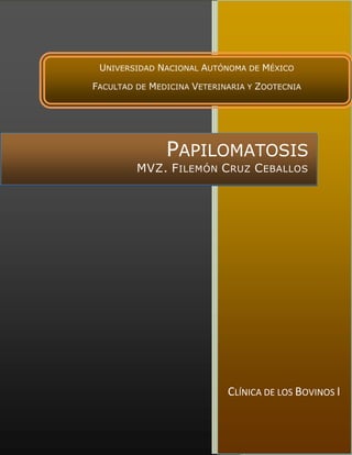 2007
CLÍNICA DE LOS BOVINOS I
PAPILOMATOSIS
MVZ. FILEMÓN CRUZ CEBALLOS
UNIVERSIDAD NACIONAL AUTÓNOMA DE MÉXICO
FACULTAD DE MEDICINA VETERINARIA Y ZOOTECNIA
 