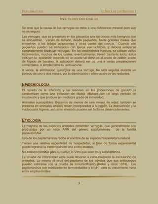 PAPILOMATOSIS CLÍNICA DE LOS BOVINOS I
MVZ. FILEMÓN CRUZ CEBALLOS
3
Se creé que la causa de las verrugas se debe a una deficiencia mineral pero aún
no es seguro.
Las verrugas que se presentan en los párpados son los únicos más benignos que
se encuentran. Varían de tamaño, desde pequeños, hasta grandes masas que
envuelven a los tejidos adyacentes y otras partes del cuerpo. Cuando son
pequeños pueden se eliminados con tijeras aserruchadas, y deberá extirparse
completamente todas las verrugas. En los crecimientos masivos, se utilizan varios
tratamientos, muchos de los cuales, eventualmente, tienen bastante éxito; éstos
incluyen la aplicación repetida de un aceite tal como es el aceite de castor, aceite
de hígado de bacalao, la aplicación deberá ser de una a varias preparaciones
comerciales, o simplemente la autovacuna.
A veces, la eliminación quirúrgica de una verruga, ha sido seguida durante un
periodo de uno o dos meses, por la disminución o eliminación de las restantes.
EPIDEMIOLOGÍA
El reparto de la infección y las lesiones en las poblaciones de ganado la
caracterizan como una infección de rápida difusión con un largo periodo de
incubación y que produce un mediocre grado de inmunidad.
Animales susceptibles: Becerros de menos de seis meses de edad, también se
presenta en animales adultos recién incorporados a la región. La desnutrición y la
inadecuada higiene, así como el estrés pueden ser factores desencadenantes.
ETIOLOGÍA
La mayoría de las especies animales presentan verrugas, que generalmente son
producidas por un virus ARN del género papilomavirus de la familia
papovaviridae.
Uno de los papilomavirus recibe el nombre de su especie hospedadora natural.
Tienen una relativa especifidad de hospedador, si bien de forma experimental
puede lograrse la transmisión de una a otra especie.
No existen métodos para su cultivo in Vitro que sean muy satisfactorios.
La prueba de infectividad virita suele llevarse a cabo mediante la inoculación de
animales. Lo mismo el virus del papiloma de los bóvidos que sus anticuerpos
pueden valorarse con la prueba de inmunodifusión (Koller y otros 1974). Los
papilomavirus son relativamente termoestables y el pH para su crecimiento varia
entre amplios límites.
 