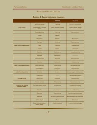 PAPILOMATOSIS CLÍNICA DE LOS BOVINOS I
MVZ. FILEMÓN CRUZ CEBALLOS
6
CUADRO 1. CLASIFICACION DE TUMORES
BENIGNO MALIGNO
Epitelio escamoso Papiloma Carcinoma espinocelular
Tejido Epitelial Epitelio basilar y folículos
pilosos
Tumor de células básales Tumor de células básales
Epitelio glandular Adenoma Adenocarcicoma
Fibroso Fibroma -
Mixomatoso Mixoma Mixosarcoma
Cartílago Condroma Condrosarcoma
Tejido conectivo y derivados Óseo Osteoma Osteosarcoma
Adiposo Lipoma Liposarcoma
Mastocitos Mastocitoma Mastocitosarcoma
Meninges Meningloma ---------------
Células sinoviales Sinovioma Sinoviosarcoma
Histiocitos Histiocitoma Histiosarcoma
Tejido Endotelial y derivados Vasos sanguíneos Hemangioma Hemangiosarcoma
Vasos linfáticos Linfasgioma Linfagiosarcoma
Tejido Hematopoyético Linfocitos Linfoma Linfoma maligno o Linfosarcoma
Plasmocitos --------- Plasmocitoma o mieloma
Tejido Muscular Músculo liso Leiomioma Leiomiosarcoma
Músculo estriado Rabdomioma Rabdomiosarcoma
Elementos del Sistema
Nervioso Central
Cel. De la vaina de Schaw Schawannoma Schawannona maligno
Astrocitos Astrocitoma Astroblastoma
Ependima Ependimoma Ependimoma indiferenciado
Neuronas Neurona o ganglioneurona Neuroblastoma o neurosarcoma
Células de glía Glioma Gliosarcoma
Celulas cromoafinicas de la
medula adrenal
Pheochromocitoma Pheochromocitoma maligno
 