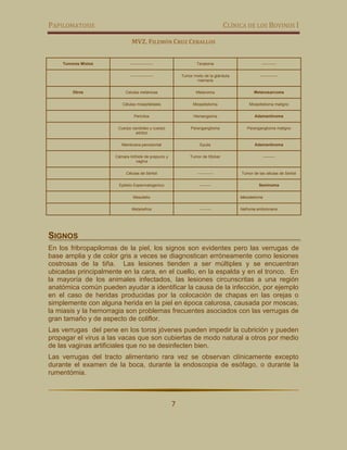 PAPILOMATOSIS CLÍNICA DE LOS BOVINOS I
MVZ. FILEMÓN CRUZ CEBALLOS
7
Tumores Mixtos ----------------- Teratoma -----------
----------------- Tumor mixto de la glándula
mamaria
-------------
Otros Celulas melánicas Melanoma Melanosarcoma
Células mioepiteliales Mioepitelioma Mioepitelioma maligno
Pericitos Hemangioma Adamantinoma
Cuerpo carotideo y cuerpo
aórtico
Paranganglioma Paranganglioma maligno
Membrana periodontal Epulis Adamantinoma
Cámara linfoide de prepucio y
vagina
Tumor de Sticker ---------
Células de Sertoli ------------ Tumor de las células de Sertoli
Epitelio Espermatogenico --------- Seminoma
Mesotelio Mesotelioma
Metanefros --------- Nefroma embrionario
SIGNOS
En los fribropapilomas de la piel, los signos son evidentes pero las verrugas de
base amplia y de color gris a veces se diagnostican erróneamente como lesiones
costrosas de la tiña. Las lesiones tienden a ser múltiples y se encuentran
ubicadas principalmente en la cara, en el cuello, en la espalda y en el tronco. En
la mayoría de los animales infectados, las lesiones circunscritas a una región
anatómica común pueden ayudar a identificar la causa de la infección, por ejemplo
en el caso de heridas producidas por la colocación de chapas en las orejas o
simplemente con alguna herida en la piel en época calurosa, causada por moscas,
la miasis y la hemorragia son problemas frecuentes asociados con las verrugas de
gran tamaño y de aspecto de coliflor.
Las verrugas del pene en los toros jóvenes pueden impedir la cubrición y pueden
propagar el virus a las vacas que son cubiertas de modo natural a otros por medio
de las vaginas artificiales que no se desinfecten bien.
Las verrugas del tracto alimentario rara vez se observan clínicamente excepto
durante el examen de la boca, durante la endoscopia de esófago, o durante la
rumentómia.
 