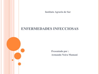 ENFERMEDADES INFECCIOSAS Presentado por : Armando Neira Mamani Instituto Agrario de Sur 