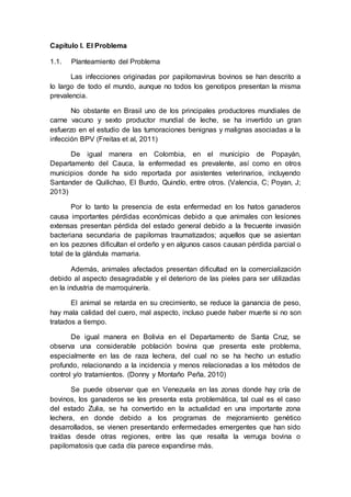 Capítulo I. El Problema
1.1. Planteamiento del Problema
Las infecciones originadas por papilomavirus bovinos se han descrito a
lo largo de todo el mundo, aunque no todos los genotipos presentan la misma
prevalencia.
No obstante en Brasil uno de los principales productores mundiales de
carne vacuno y sexto productor mundial de leche, se ha invertido un gran
esfuerzo en el estudio de las tumoraciones benignas y malignas asociadas a la
infección BPV (Freitas et al, 2011)
De igual manera en Colombia, en el municipio de Popayán,
Departamento del Cauca, la enfermedad es prevalente, así como en otros
municipios donde ha sido reportada por asistentes veterinarios, incluyendo
Santander de Quilichao, El Burdo, Quindío, entre otros. (Valencia, C; Poyan, J;
2013)
Por lo tanto la presencia de esta enfermedad en los hatos ganaderos
causa importantes pérdidas económicas debido a que animales con lesiones
extensas presentan pérdida del estado general debido a la frecuente invasión
bacteriana secundaria de papilomas traumatizados; aquellos que se asientan
en los pezones dificultan el ordeño y en algunos casos causan pérdida parcial o
total de la glándula mamaria.
Además, animales afectados presentan dificultad en la comercialización
debido al aspecto desagradable y el deterioro de las pieles para ser utilizadas
en la industria de marroquinería.
El animal se retarda en su crecimiento, se reduce la ganancia de peso,
hay mala calidad del cuero, mal aspecto, incluso puede haber muerte si no son
tratados a tiempo.
De igual manera en Bolivia en el Departamento de Santa Cruz, se
observa una considerable población bovina que presenta este problema,
especialmente en las de raza lechera, del cual no se ha hecho un estudio
profundo, relacionando a la incidencia y menos relacionadas a los métodos de
control y/o tratamientos. (Donny y Montaño Peña, 2010)
Se puede observar que en Venezuela en las zonas donde hay cría de
bovinos, los ganaderos se les presenta esta problemática, tal cual es el caso
del estado Zulia, se ha convertido en la actualidad en una importante zona
lechera, en donde debido a los programas de mejoramiento genético
desarrollados, se vienen presentando enfermedades emergentes que han sido
traídas desde otras regiones, entre las que resalta la verruga bovina o
papilomatosis que cada día parece expandirse más.
 