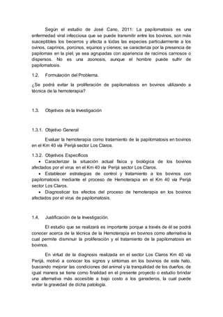 Según el estudio de José Cano, 2011: La papilomatosis es una
enfermedad viral infecciosa que se puede transmitir entre los bovinos, son más
susceptibles los becerros y afecta a todas las especies particularmente a los
ovinos, caprinos, porcinos, equinos y ciervos; se caracteriza por la presencia de
papilomas en la piel, ya sea agrupadas con apariencia de racimos carnosos o
dispersos. No es una zoonosis, aunque el hombre puede sufrir de
papilomatosis.
1.2. Formulación del Problema.
¿Se podrá evitar la proliferación de papilomatosis en bovinos utilizando a
técnica de la hemoterapia?
1.3. Objetivos de la Investigación
1.3.1. Objetivo General
Evaluar la hemoterapia como tratamiento de la papilomatosis en bovinos
en el Km 40 vía Perijá sector Los Claros.
1.3.2. Objetivos Específicos
 Caracterizar la situación actual física y biológica de los bovinos
afectados por el virus en el Km 40 vía Perijá sector Los Claros.
 Establecer estrategias de control y tratamiento a los bovinos con
papilomatosis mediante el proceso de Hemoterapia en el Km 40 vía Perijá
sector Los Claros.
 Diagnosticar los efectos del proceso de hemoterapia en los bovinos
afectados por el virus de papilomatosis.
1.4. Justificación de la Investigación.
El estudio que se realizará es importante porque a través de él se podrá
conocer acerca de la técnica de la Hemoterapia en bovinos como alternativa la
cual permite disminuir la proliferación y el tratamiento de la papilomatosis en
bovinos.
En virtud de la diagnosis realizada en el sector Los Claros Km 40 vía
Perijá, motivó a conocer los signos y síntomas en los bovinos de este hato,
buscando mejorar las condiciones del animal y la tranquilidad de los dueños, de
igual manera se tiene como finalidad en el presente proyecto o estudio brindar
una alternativa más accesible a bajo costo a los ganaderos, la cual puede
evitar la gravedad de dicha patología.
 
