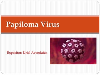 Papiloma Virus 
Expositor: Uriel Avendaño. 
 