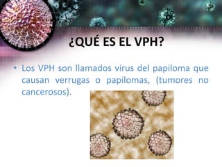 ¿QUÉ ES EL VPH?
• Los VPH son llamados virus del papiloma que
causan verrugas o papilomas, (tumores no
cancerosos).
 
