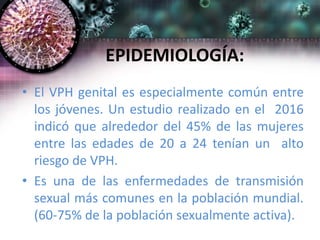 EPIDEMIOLOGÍA:
• El VPH genital es especialmente común entre
los jóvenes. Un estudio realizado en el 2016
indicó que alrededor del 45% de las mujeres
entre las edades de 20 a 24 tenían un alto
riesgo de VPH.
• Es una de las enfermedades de transmisión
sexual más comunes en la población mundial.
(60-75% de la población sexualmente activa).
 
