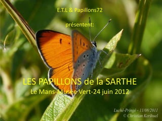 E.T.L & Papillons72

            présentent:




LES PAPILLONS de la SARTHE
 Le Mans-Musée Vert-24 juin 2012
 