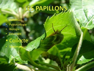 •   Définition
•   Paléotonlogie
•   Biologie
•   Ethologie

• Collecte
• Systématique
 