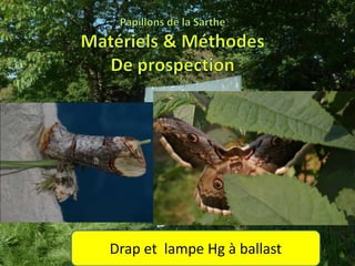 Drap et lampe Hg à ballast
 